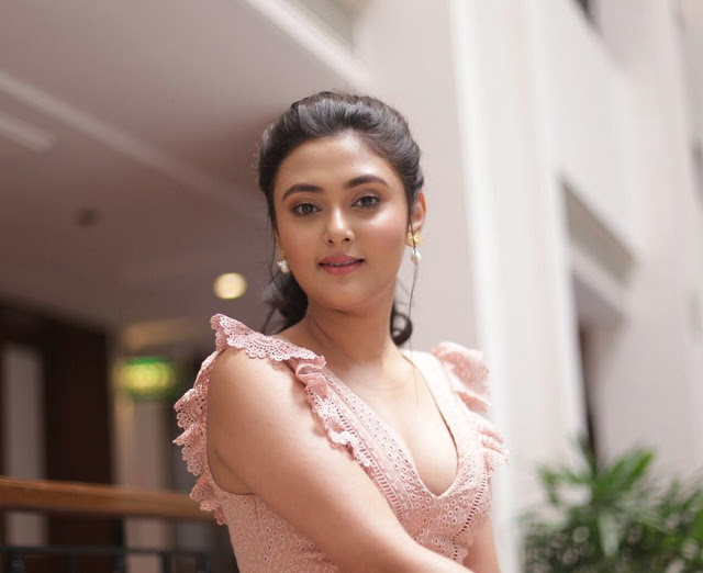Actress Megha Chowdhury Photos At Telugu Movie Teaser Launch 48